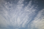 White Clouds at the Florida Campgrounds of Everglades National Park