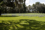 White Gravestones