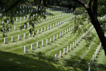 White Headstones