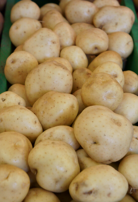 White Potatoes at the Tampa Bay Farmers Market