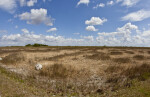 Wide-Angle View of a Field with Some Patches of Grass