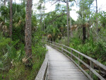 Winding Boardwalk