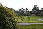 Winding Trails, Trees, & Grass