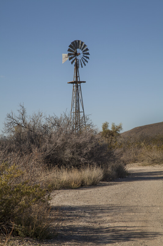 Windmill Surrounded by Dry Shrubs Along the Chihuanhuan Desert Trail of Big Bend National Park