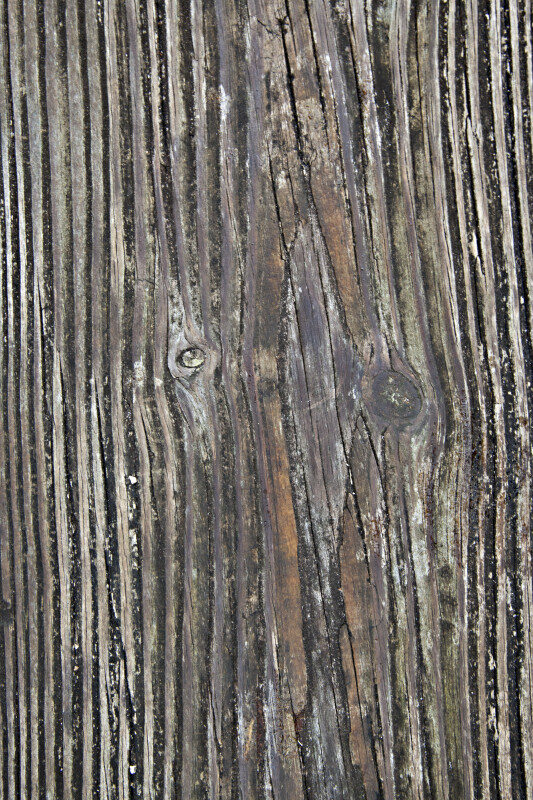 Wood Panel at Myakka River State Park