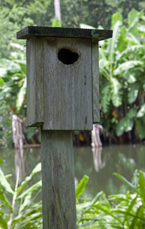 Wooden Birdhouse at the Kanapaha Botanical Gardens