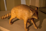 Wooden Common Raccoon on Display at the Flamingo Visitor Center of Everglades National Park