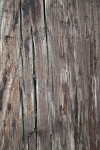 Wooden Plank Close-Up