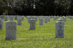 World War Two Veteran's Graves