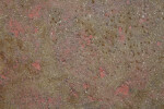 Worn Pink Painted Concrete