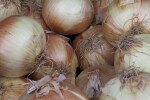 Yellow Onions Close-Up