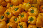 Yellow-Orange Bell Peppers