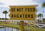 Yellow, Wooden Sign