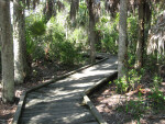 Zigzagging Boardwalk