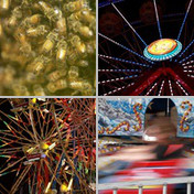 Florida Fairs and Festivals