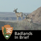 Badlands in Brief