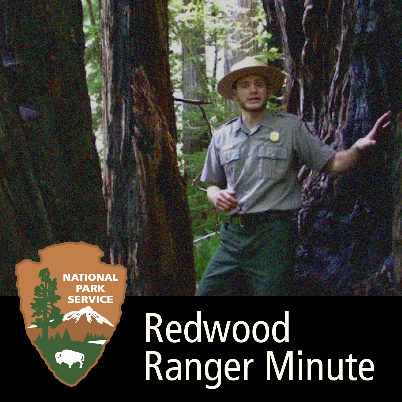 Redwood Ranger Minute Podcast artwork
