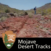 Mojave Desert Tracks