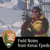 Field Notes from Kenai Fjords