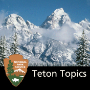 Teton Topics