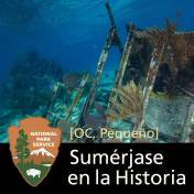 Inmersión en la  Historia: Los Naufragios del Parque Nacional Biscayne [OC, Pequeño]
