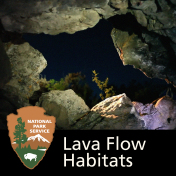 Lava Flow Habitats: The Wildlife and Geology of Craters of the Moon National Park