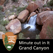 Grand Canyon National Park: Minute Out In It