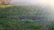 Sprinkler Spraying Grass at the University of South Florida