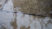 Rain Creating Ripples in a Puddle