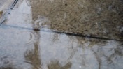 Raindrops on Sidewalk