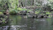 Jutting Rocks in the Hillsborough River