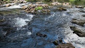 Forked Rapids