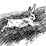 The Tale of Peter Rabbit and Other Stories – Storypod