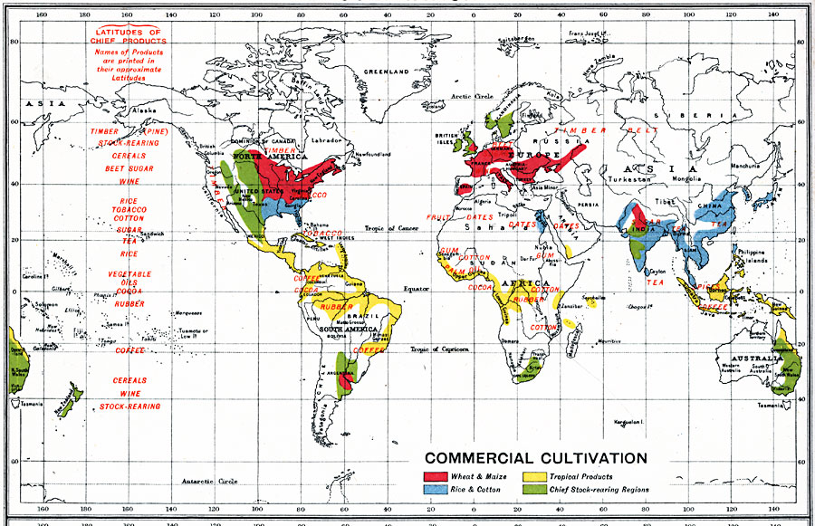 Global Commercial Cultivation