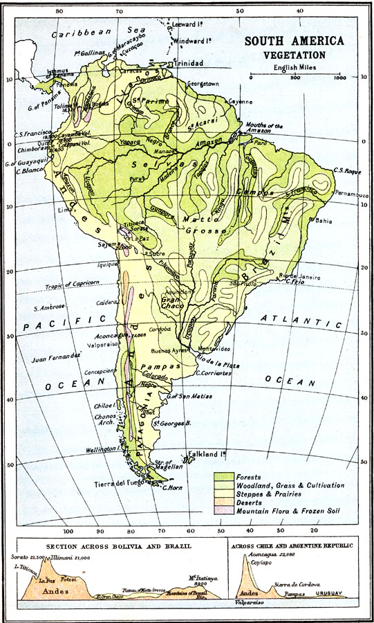 Vegetation Distribution of South America