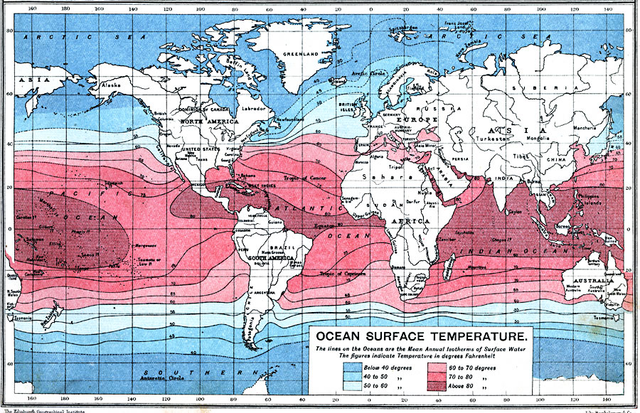 Ocean Surface Temperature