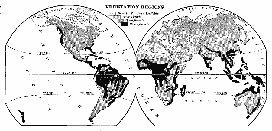World Vegetation Regions