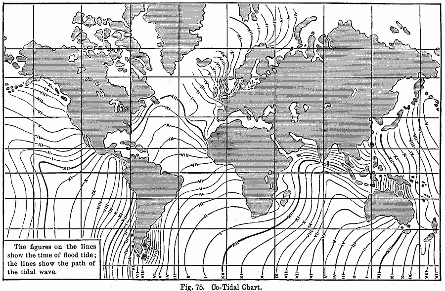 Tide Wave Chart
