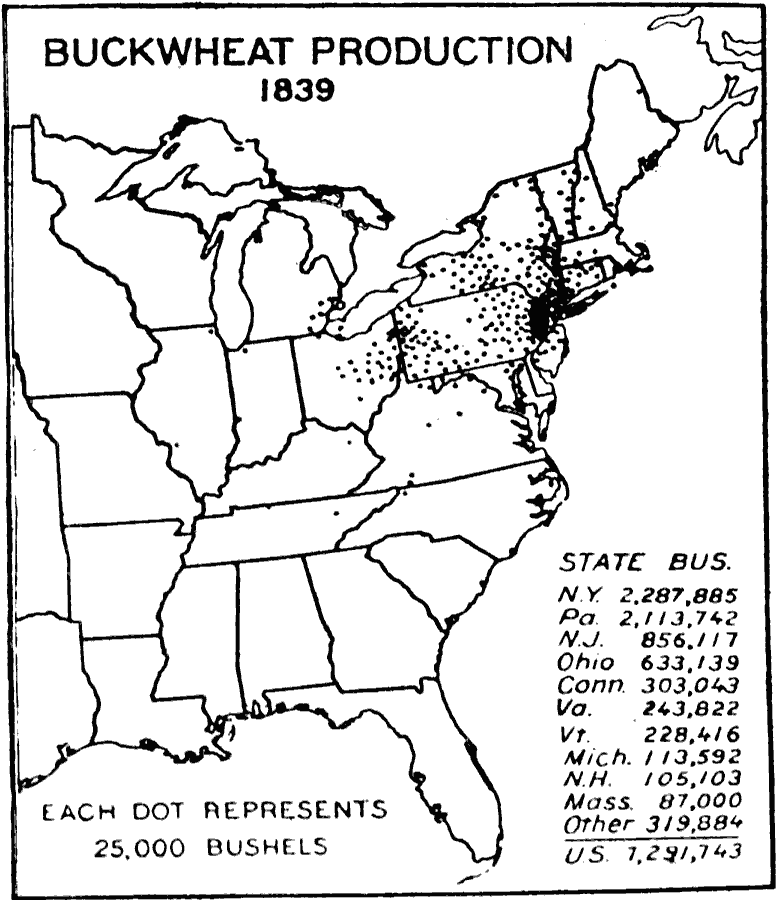 Buckwheat Production in the United States