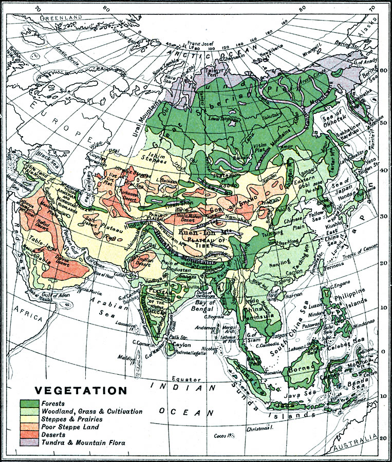 Vegetation of Asia