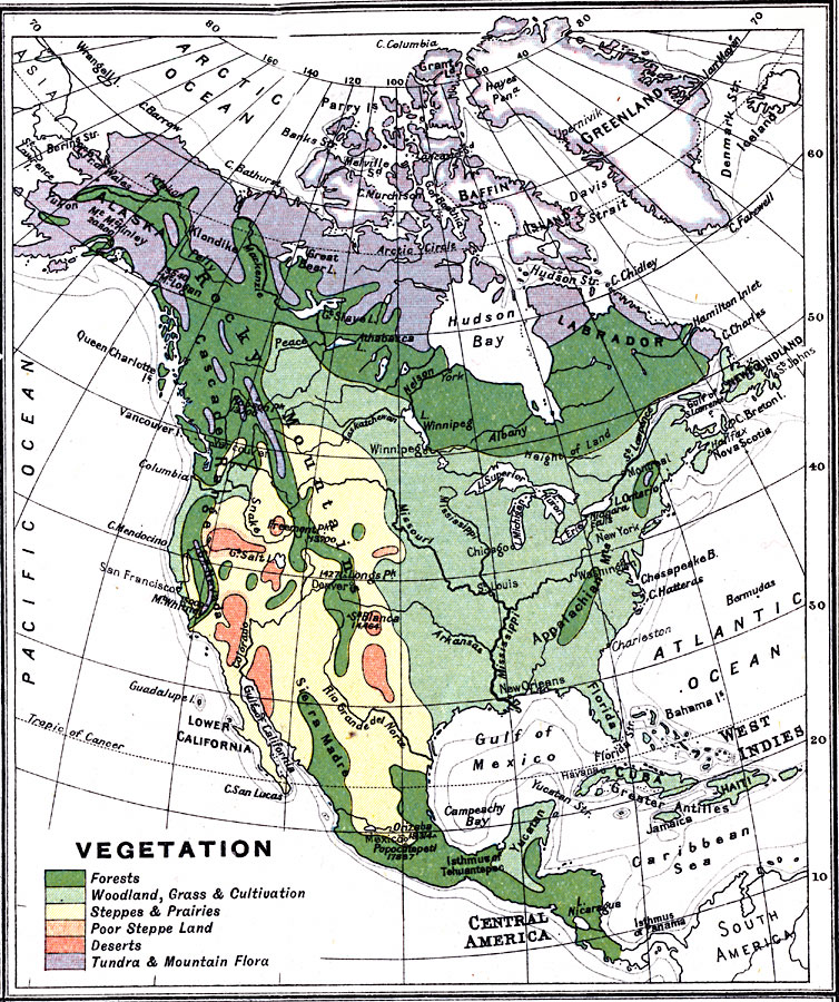 Vegetation of North America