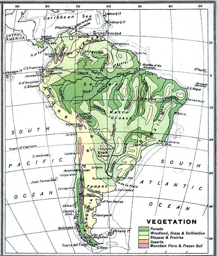 Vegetation Map Of South America Vegetation Map of South America, 1915