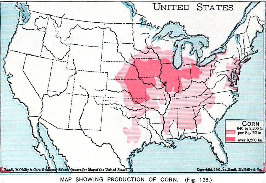 Production of Corn in the United States