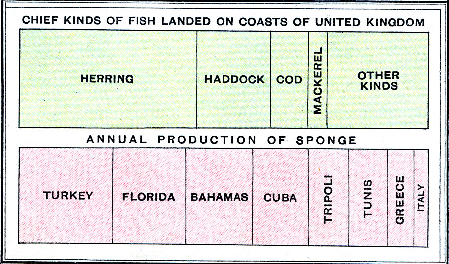 Chief Kinds of Fish Landed on Coasts of United Kingdom / Annual Production of Sponge