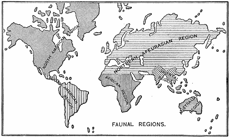 Faunal Regions of the World