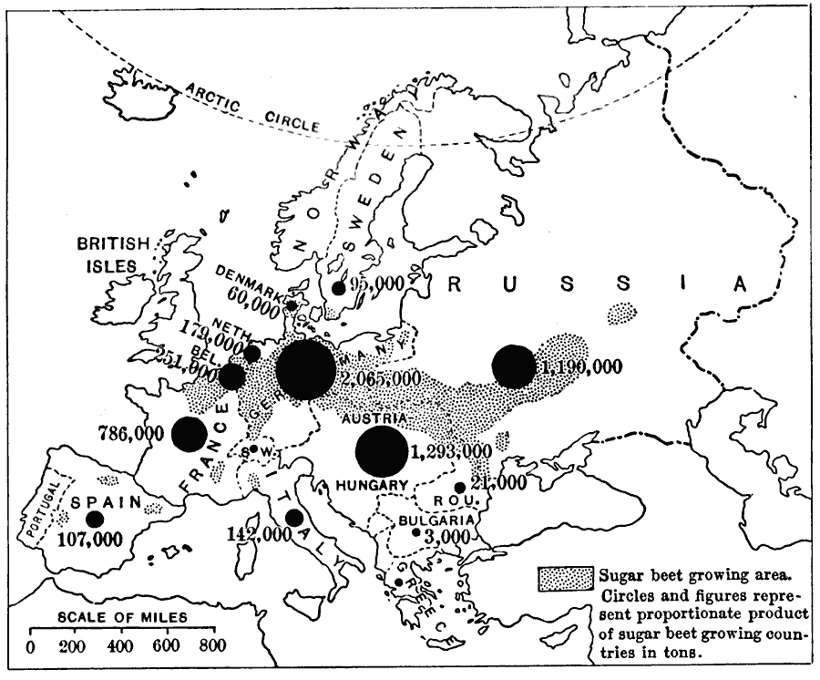 Production of Sugar Beets in Europe