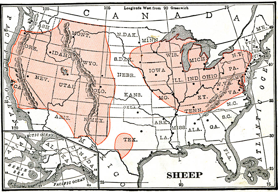Sheep Farming Regions of the United States