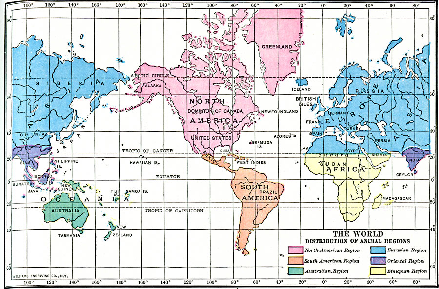 The World Distribution of Animal Regions