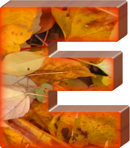 Presentation Alphabets Fall Leaves Letter E Presentation Alphabets Fall Leaves Letter E