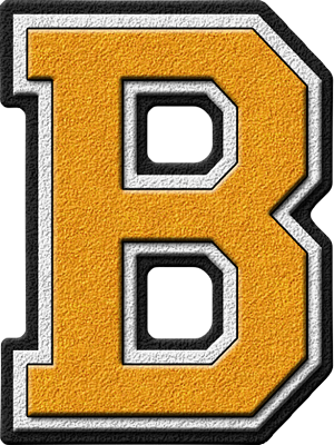 Varsity on sale letter b